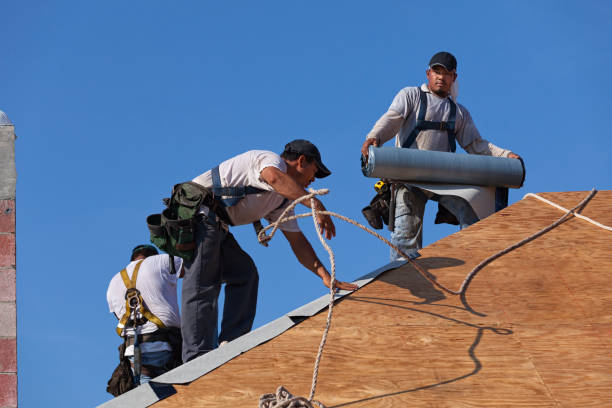 Roof Gutter Cleaning in Edinburgh, IN