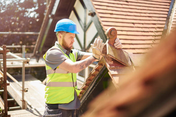 Best Roofing Contractor Near Me  in Edburgh, IN
